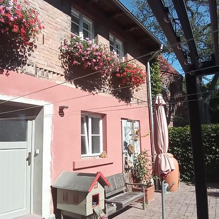 Ferienhaus In Der Historischen Altstadt Von Angermuende Angermunde Eksteriør billede