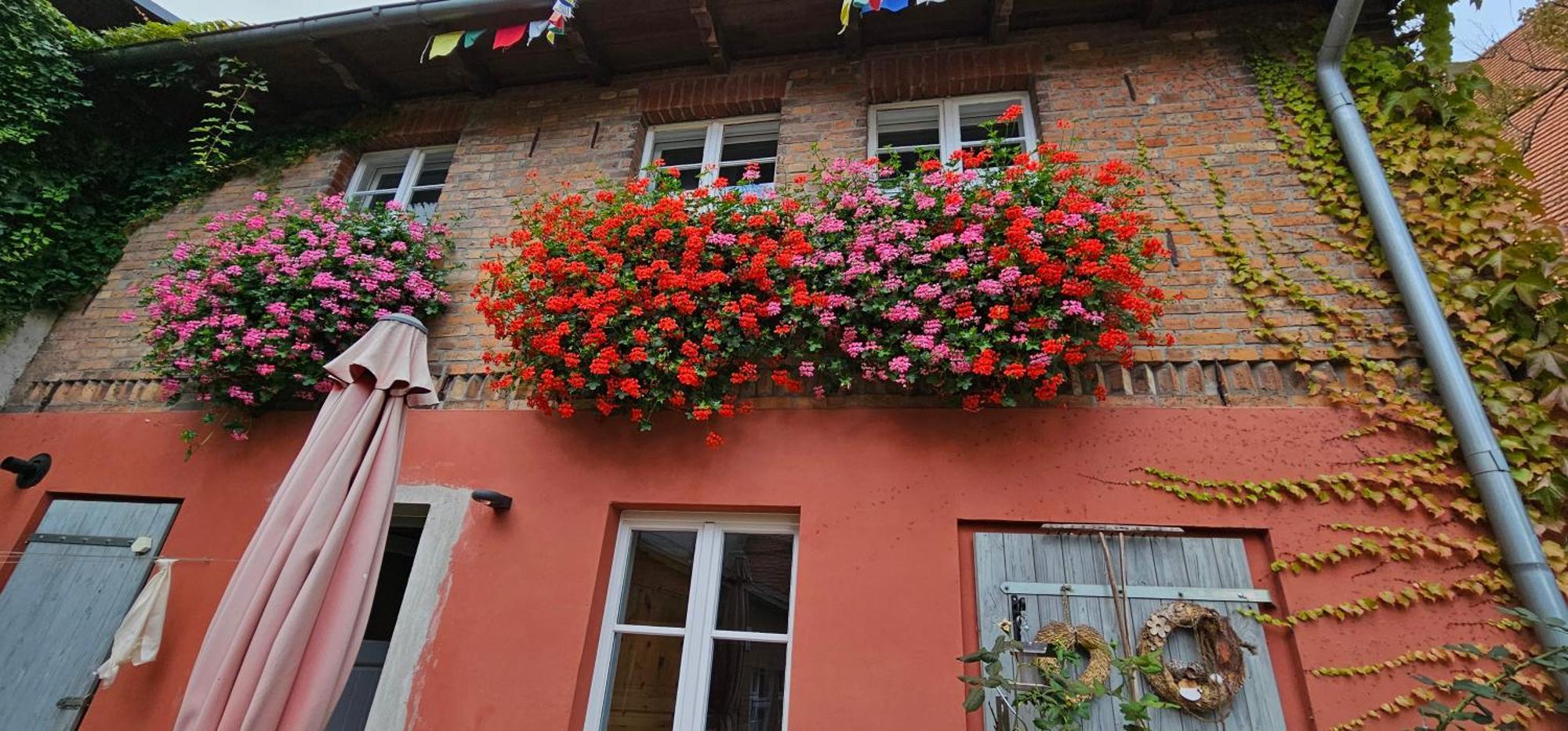 Ferienhaus In Der Historischen Altstadt Von Angermuende Angermunde Eksteriør billede